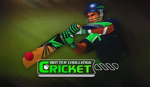 Cricket Batter Challenge