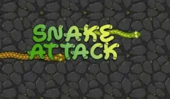 Snake Attack